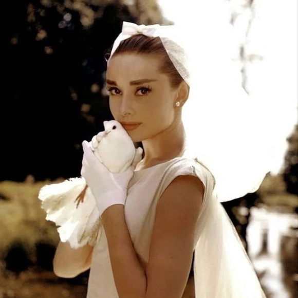 Meet your Posher, Sabrina - Picture 1 of 1